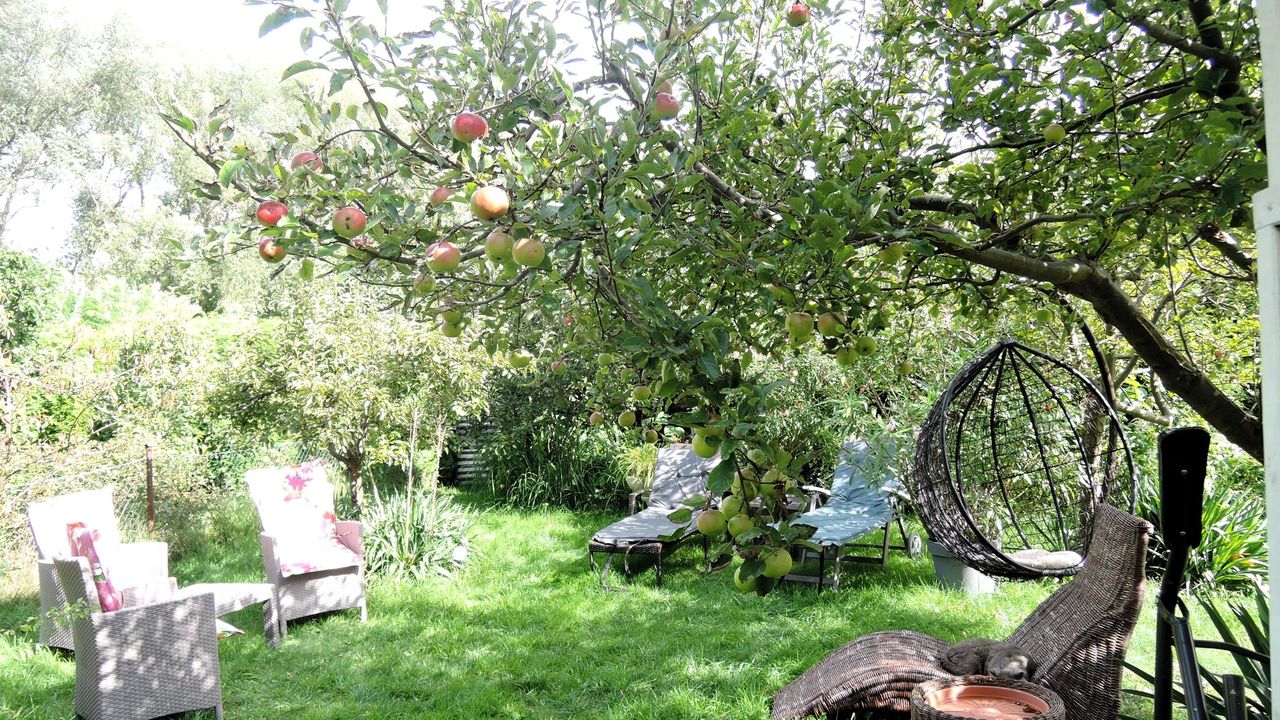 GardenSummer GardenSummer